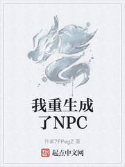 ����������NPC