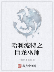 ��������֮������ʦ