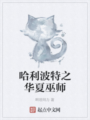 ��������֮������ʦ