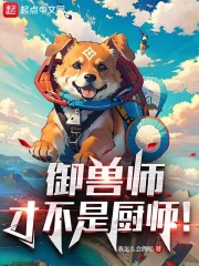 ����ʦ�Ų��ǳ�ʦ��