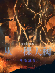 ��һ�ô�����ʼ����