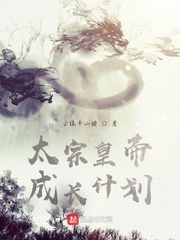 ̫�ڻʵ۳ɳ��ƻ�