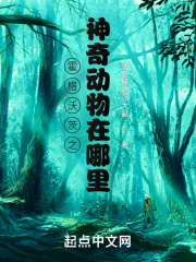 �����ִ�֮���涯�������