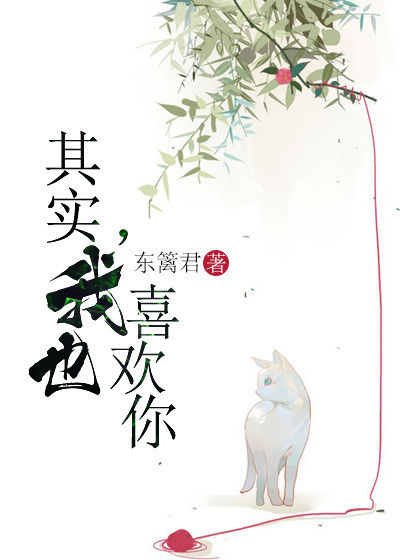 ��ʵ����Ҳϲ����