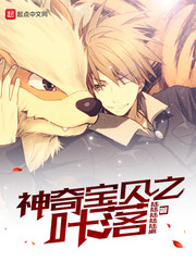 ���汦��֮Ҷ��