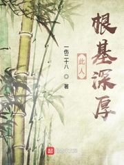 ���˸������