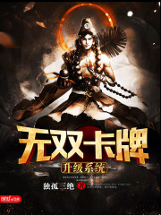 ��˫��������ϵͳ