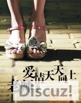 ��ʦ��������������