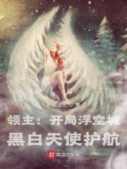 ���������ָ��ճǣ��ڰ���ʹ����