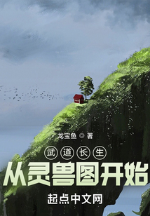 ���������������ͼ��ʼ