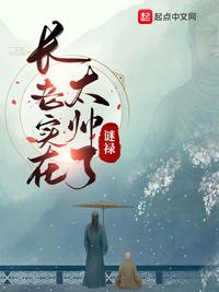 ����ʵ��̫˧��