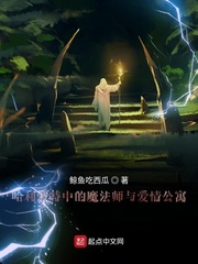 ���������е�ħ��ʦ�밮�鹫Ԣ