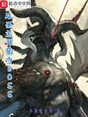 ��ʥ����ʼ��BOSS