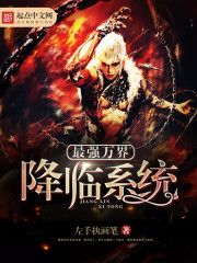 ��ǿ��罵��ϵͳ