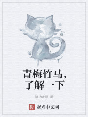 �ӷɰ���С˵