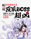 �촩槼�����˵����BOSS����