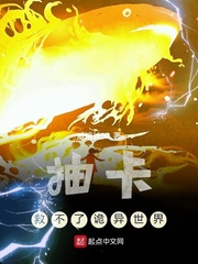 �鿨�Ȳ��˹�������