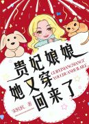 �����������ִ�������