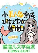 С�����㴩��һ̥�����Ľ��