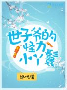 ����ү�Ĺ���СѾ��