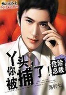 Σ���ܲã�Ѿͷ�㱻����