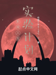 Ӱ������ʵ��ƻ�