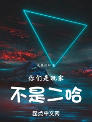 ��ΪNPC���ң�ֻ��ȫ���Ը���