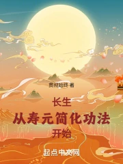 ��������Ԫ�򻯹�����ʼ